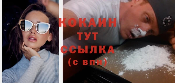 индика Михайловка