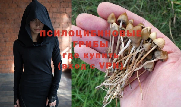 индика Михайловка
